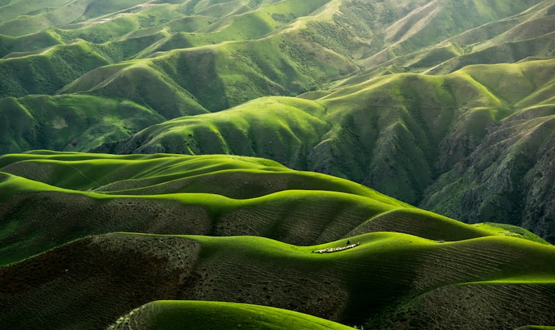 A vast green landscape representing growth